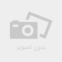 خاطراتی از تعویض سنگ قبر میرزاحسن رشدیه